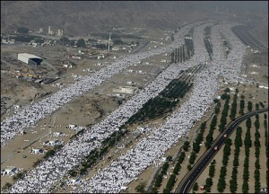 arafat