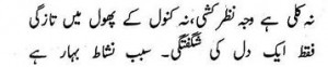 dil ki shugaftegi dil ki shugaftegi