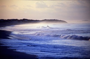 socotra_10