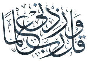 qul rabbi zidni ilma