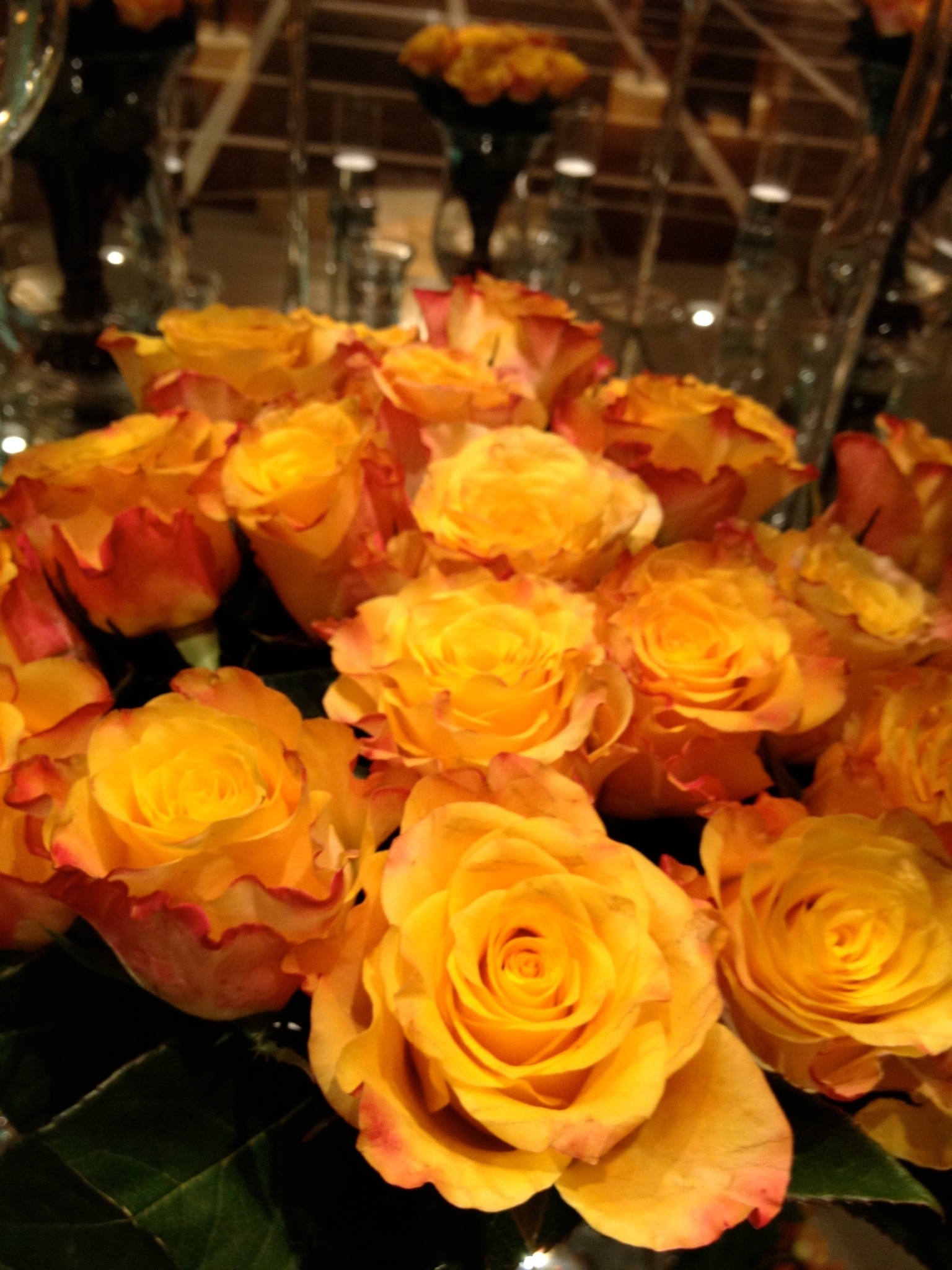 20130225-211828.jpg