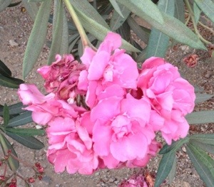 20130302-182314.jpg