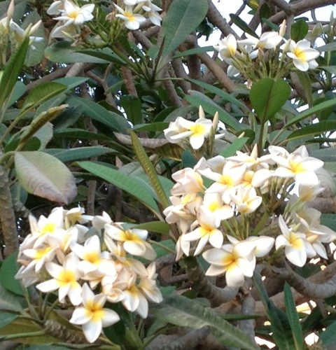 20130423-195757.jpg